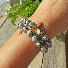 Charmi Rannekoru - Dalmatian Jaspis