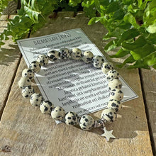 Charmi Rannekoru - Dalmatian Jaspis