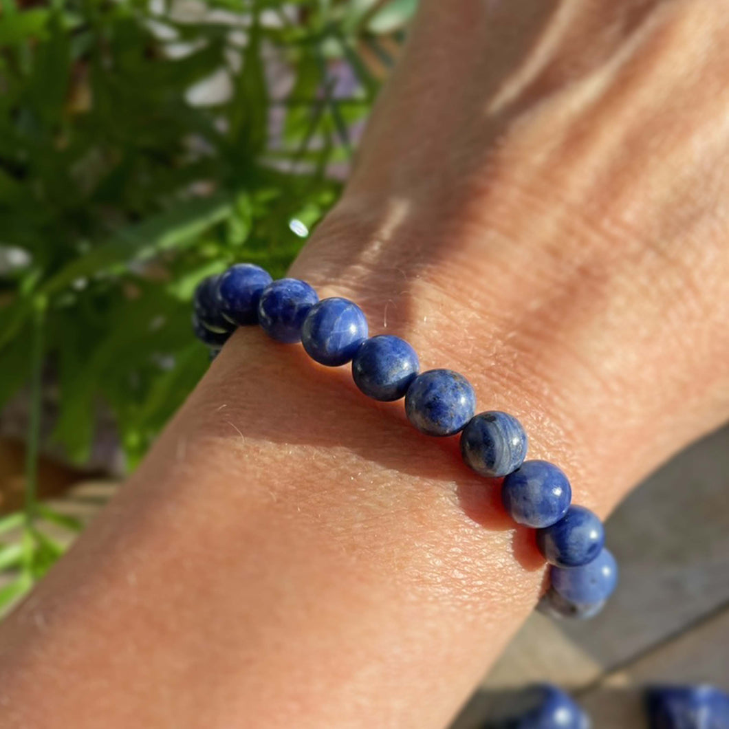 Rannekoru - Sodaliitti