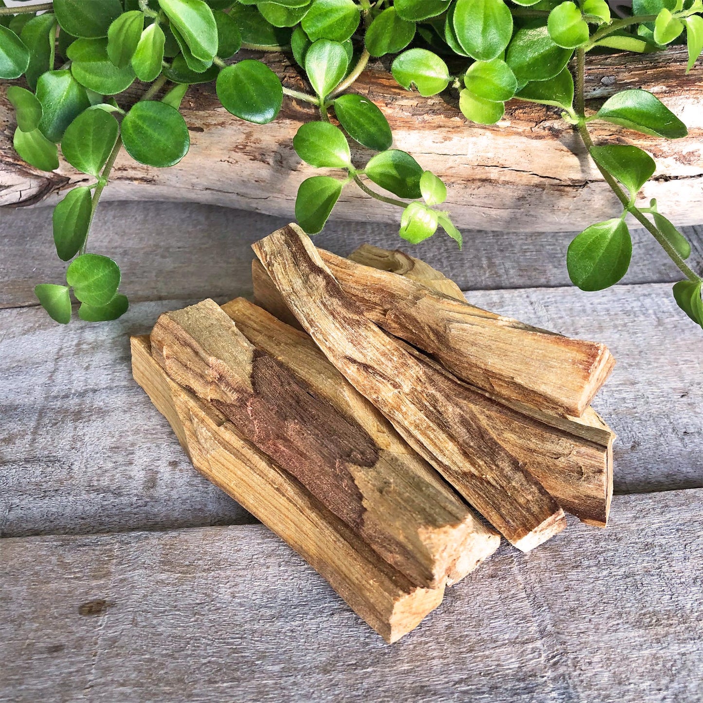 Palo Santo