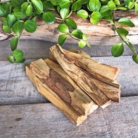 Palo Santo