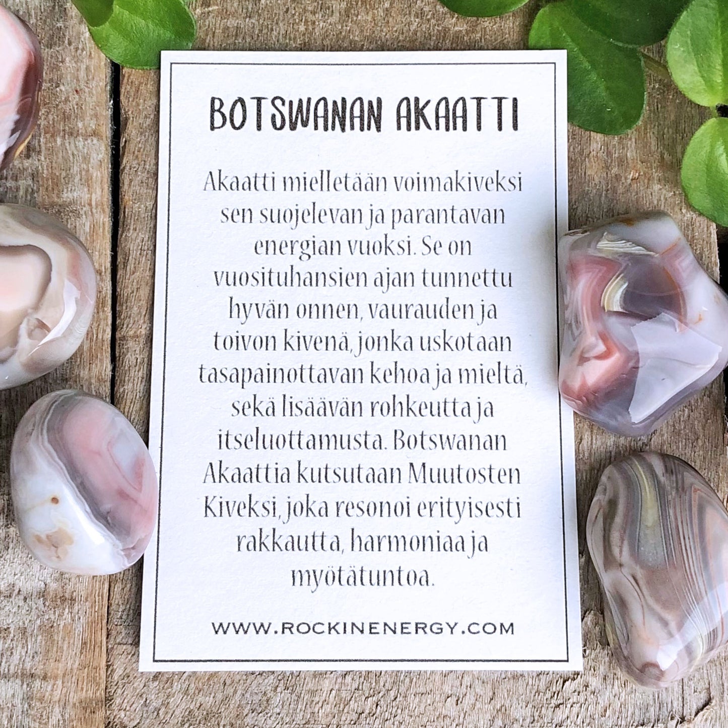 Botswanan Akaatti